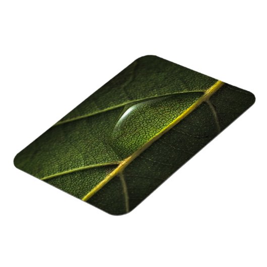 Leaf Droplets Magnet (Linke Seite)