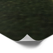Leaf Droplets Poster (Ecke)