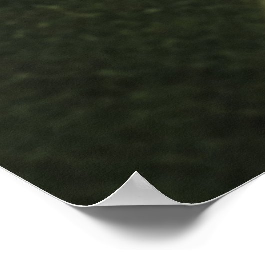 Leaf Droplets Poster (Ecke)