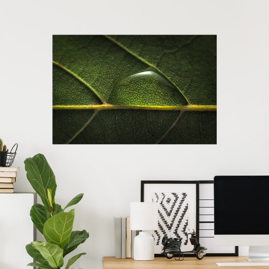Leaf Droplets Poster (Heimbüro)