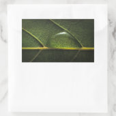 Leaf Droplets Rechteckiger Aufkleber (Tasche)