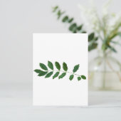 Leaf Fern Nature Party Pack Postkarte (Stehend Vorderseite)