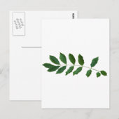 Leaf Fern Nature Party Pack Postkarte (Vorne/Hinten)