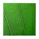 Leaf Fliese (Vorderseite)