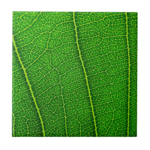 Leaf Fliese
