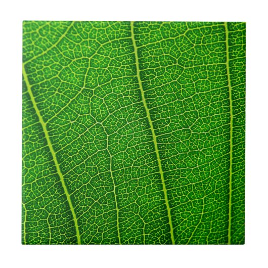 Leaf Fliese (Vorderseite)