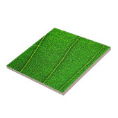 Leaf Fliese (Seite)