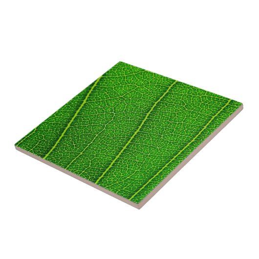 Leaf Fliese (Seite)