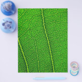 Leaf Flyer (Einzeln)