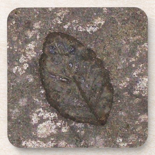 Leaf Fossil Untersetzer (Vorderseite)