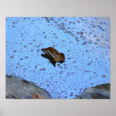 Leaf Foto Poster (Vorne)