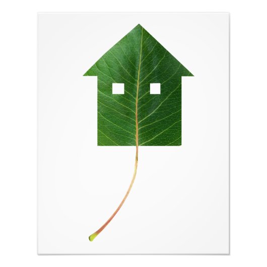 Leaf Fotodruck (Vorne)