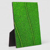 Leaf Fotoplatte (Seite)