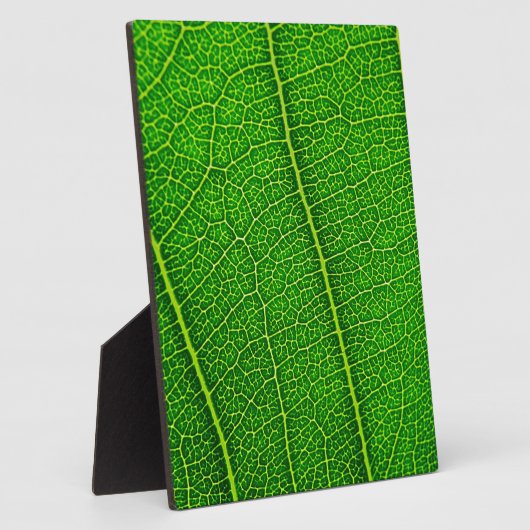 Leaf Fotoplatte (Seite)