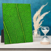 Leaf Fotoplatte (Seite)