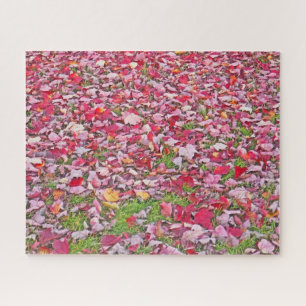 LEAF GEDECKTE BODEN-/AUTUMENROTE BLÄTTER AUF DEM B PUZZLE