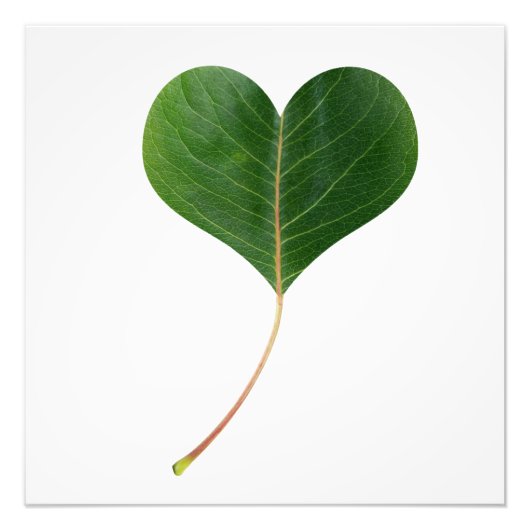 Leaf-Herz Fotodruck (Vorne)