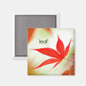 Leaf Kühlschrank Magnet (Vorderseite/Rückseite)