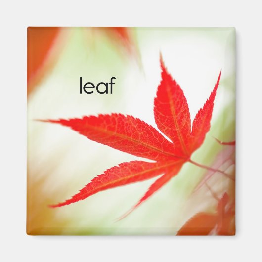 Leaf Kühlschrank Magnet (Vorne)