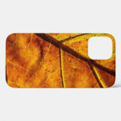 Leaf leaf veins fall texture Case-Mate iPhone hülle (Rückseite (Horizontal))
