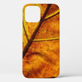 Leaf leaf veins fall texture Case-Mate iPhone hülle (Rückseite)