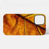 Leaf leaf veins fall texture iPhone hülle (Rückseite (Horizontal))