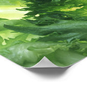 Leaf Lettuce Poster (Ecke)