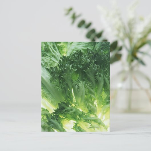 Leaf Lettuce Postkarte (Stehend Vorderseite)