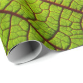 Leaf macro veins leaf veins green geschenkpapier (Rolleneckpunkt)