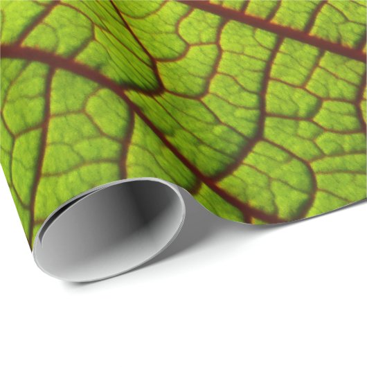 Leaf macro veins leaf veins green geschenkpapier (Rolleneckpunkt)