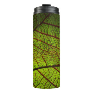 Leaf Makro-Venen Blätter Venen grün Thermosbecher