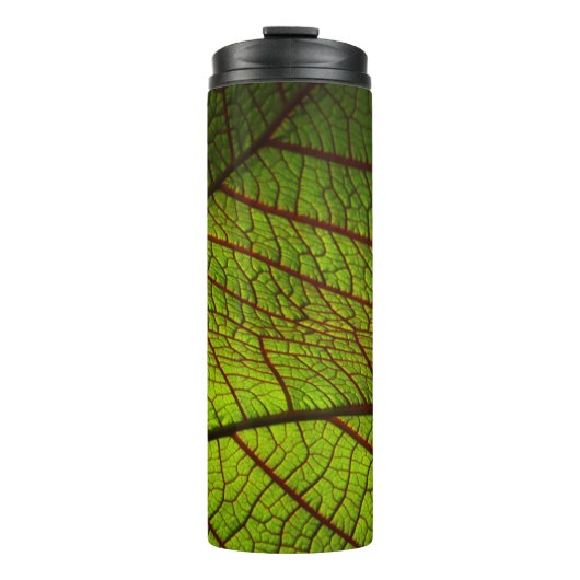 Leaf Makro-Venen Blätter Venen grün Thermosbecher (Vorderseite)