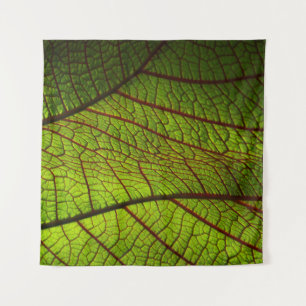 Leaf Makro-Venen Blätter Venen grün Wandteppich