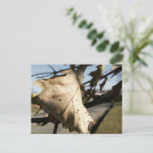 LEAF MIR EINE POSTKARTE (Stehend Vorderseite)