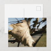 LEAF MIR EINE POSTKARTE (Vorne/Hinten)