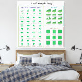 Leaf Morphology Chart Leinwanddruck (Insitu (Schlafzimmer))
