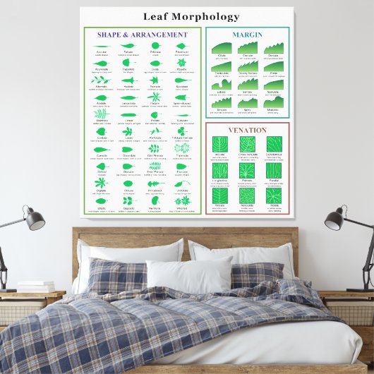 Leaf Morphology Chart Leinwanddruck (Insitu (Schlafzimmer))