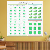 Leaf Morphology Chart Leinwanddruck (Insitu (Wohnzimmer))