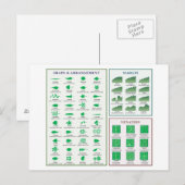 Leaf Morphology Chart Margin Form Venation Postkarte (Vorne/Hinten)