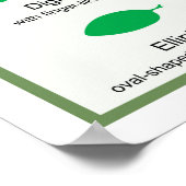 Leaf Morphology Chart Margin Gestaltungspanster Poster (Ecke)