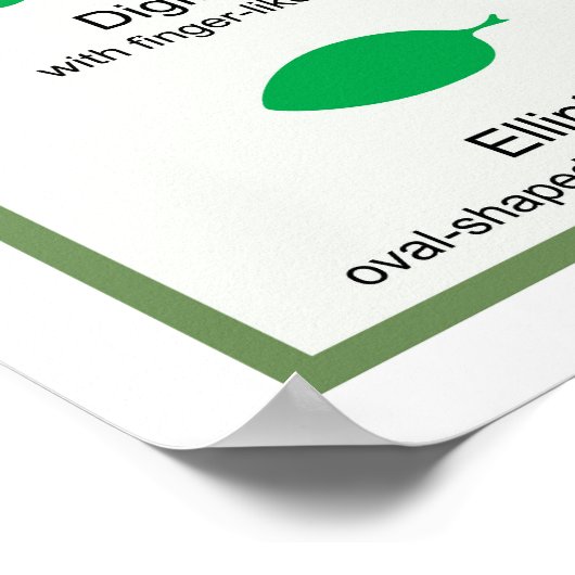 Leaf Morphology Chart Margin Gestaltungspanster Poster (Ecke)