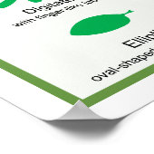 Leaf Morphology Chart Poster (Ecke)