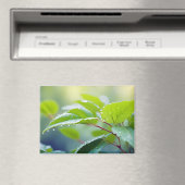 Leaf Nah-up ruhige Natursaison Magnet (In Situ (Geschirrspüler))