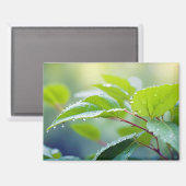 Leaf Nah-up ruhige Natursaison Magnet (Vorderseite/Rückseite)