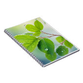 Leaf Nah-up ruhige Natursaison Notizblock (Rechte Seite)