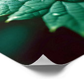 Leaf Nah-up ruhige Natursaison Poster (Ecke)