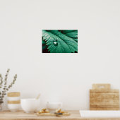 Leaf Nah-up ruhige Natursaison Poster (Küche)