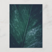 Leaf Nature Foto Postkarte (Vorderseite)