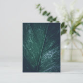 Leaf Nature Foto Postkarte (Stehend Vorderseite)