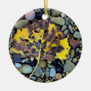 Leaf of Fremont cottonwood on flood plain Keramik Ornament